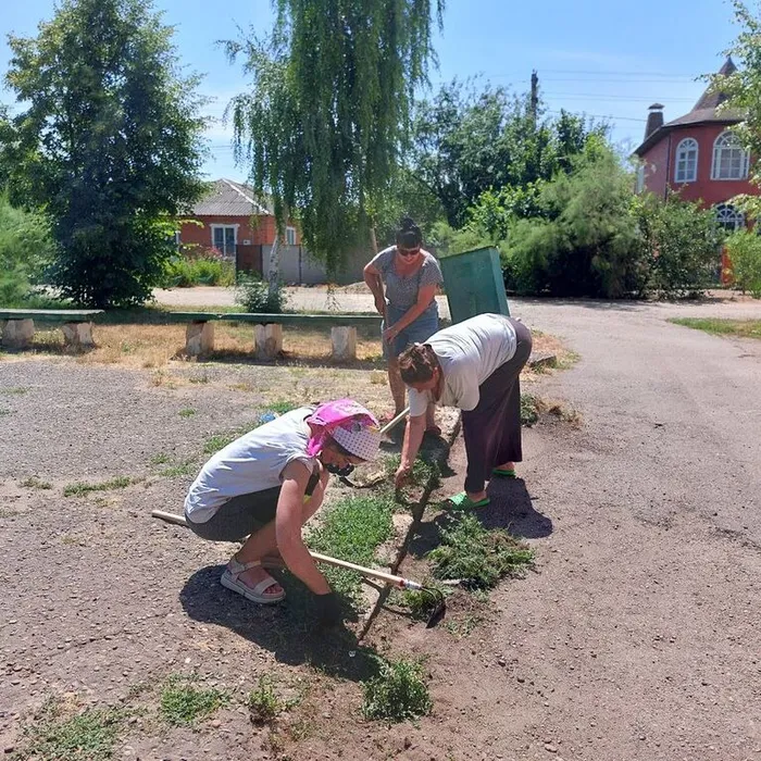 Наведение санитарного порядка