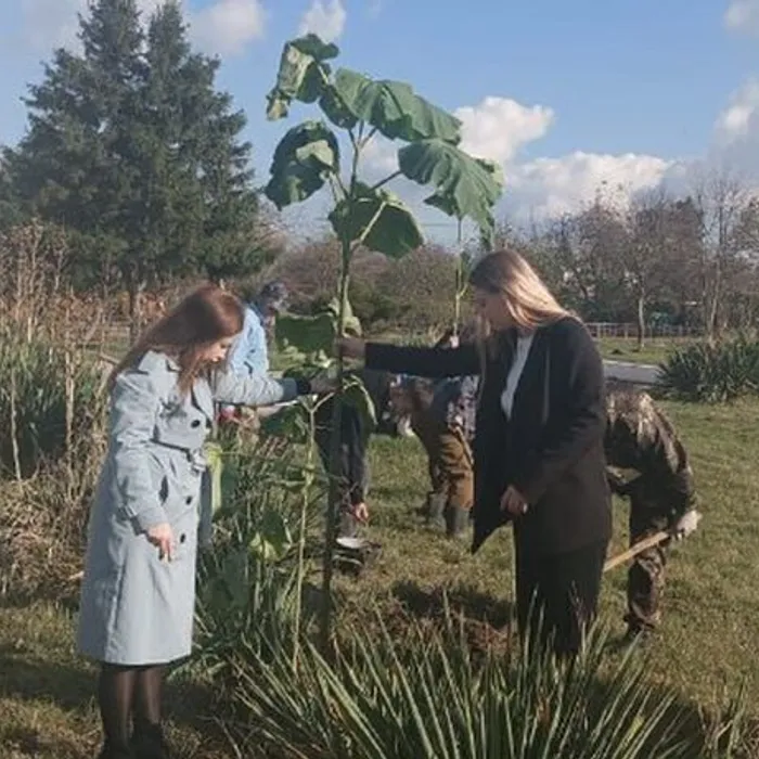  "Зелёная дорога"
